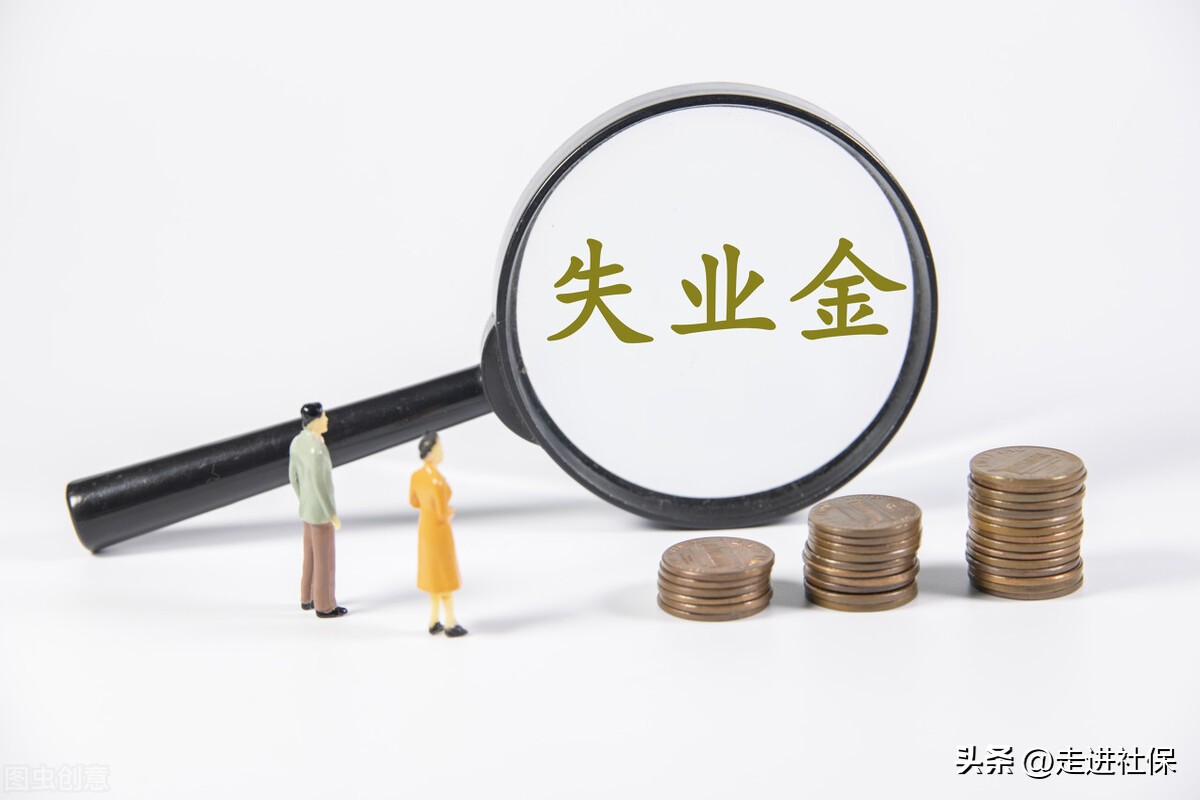 缴了失业保险失业后可以享受哪些待遇(缴了失业保险失业后可以享受哪些待遇政策)