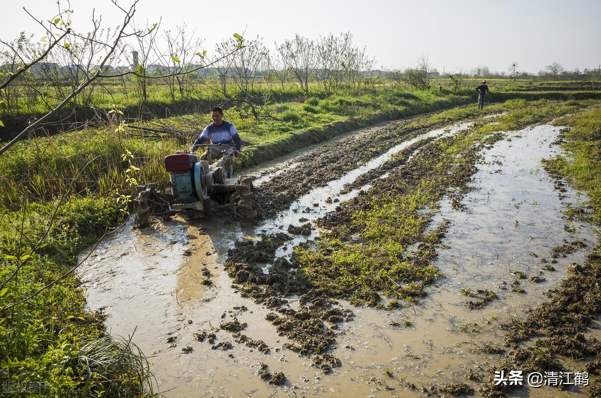 农业补贴标准（农用柴油补贴标准是多少）
