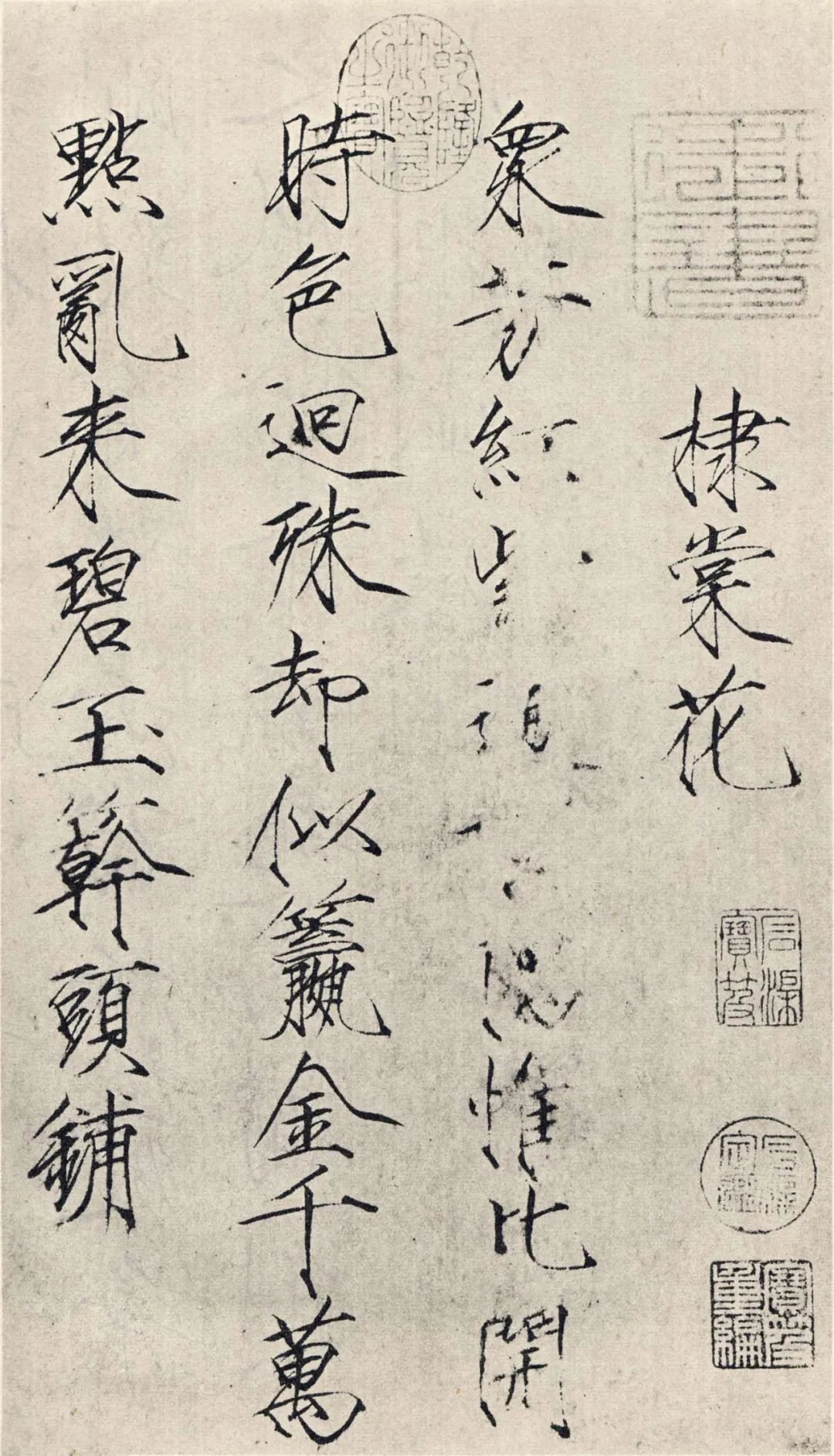 开黄花的植物名称大全（这6种小黄花谁才是真正的迎春）