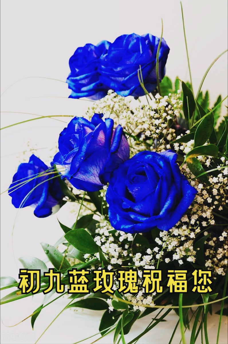 一花一喜庆，大年初九幸福到，99朵玫瑰送祝福，好运久久跟你走