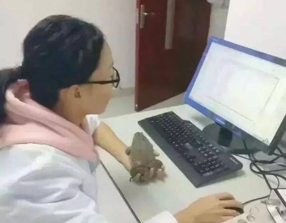 我上大学睡过的女同学（重庆一女大学生考试前夜）