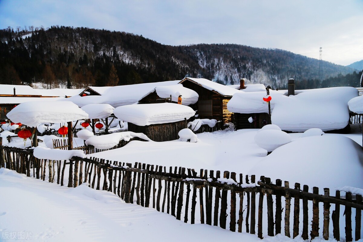 散文，等雪，与残枝瘦影，一同书写寒冬极简的意境