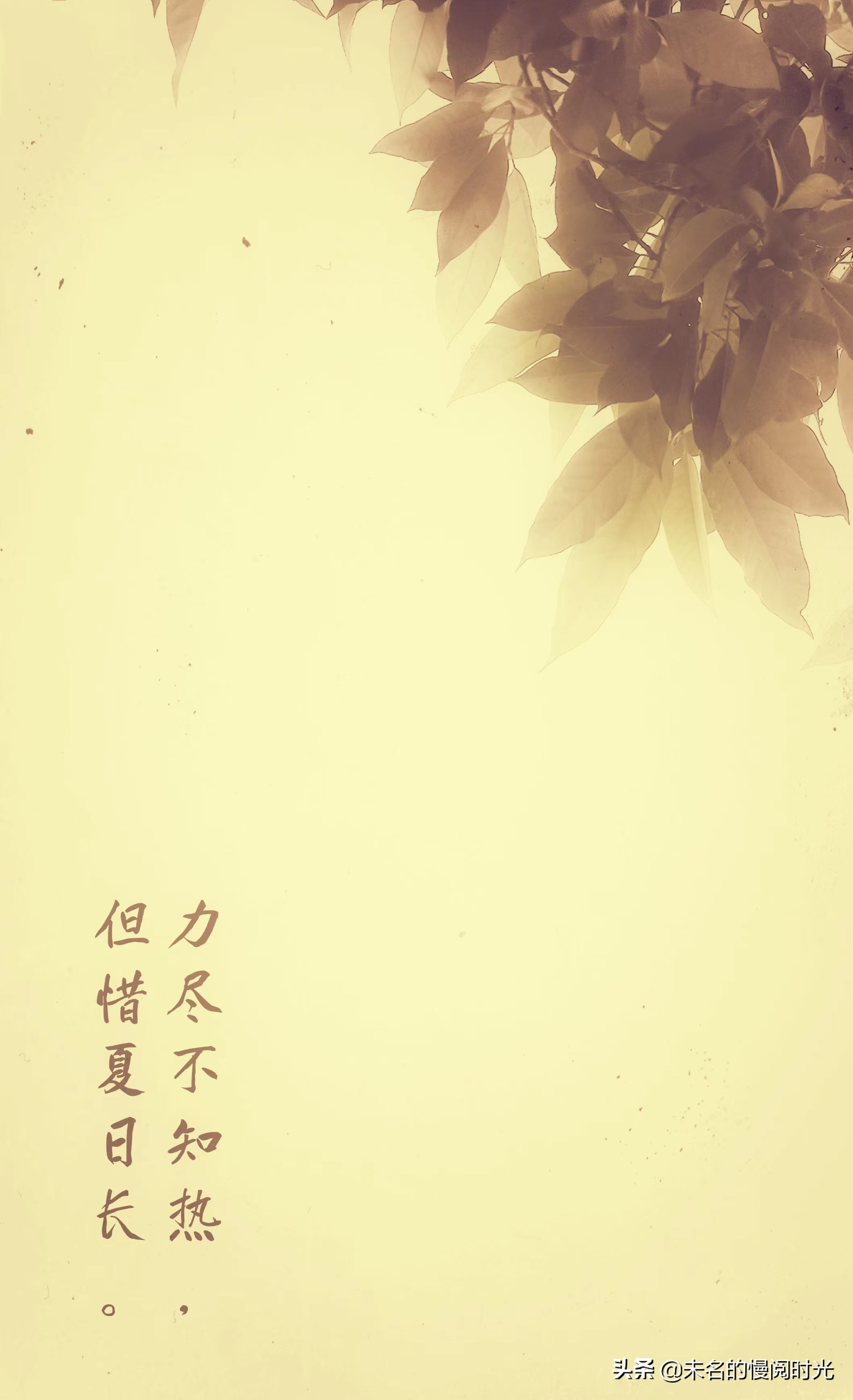 我考上大学啦：乾坤未定，人这一辈子，只为见自己见天地见众生