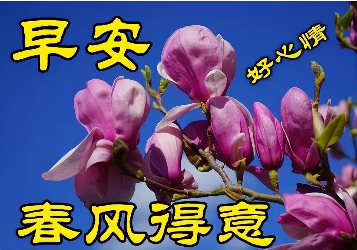 早上好表情包动图更新，天天开心，平安顺心，一笑解千愁图片