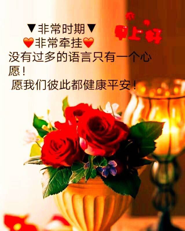 星期四早上好祝福语表情图片带字 向着太阳的地方就是努力的方向图片