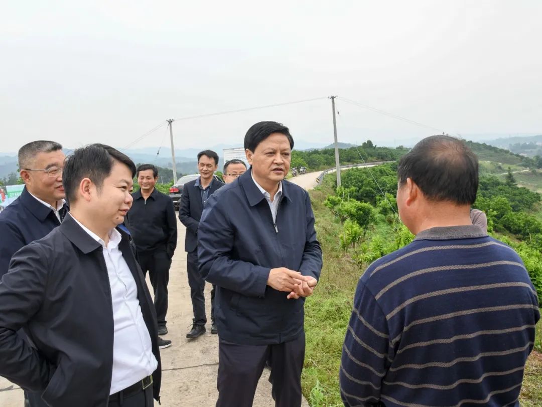 李万千在芷江调研乡村振兴工作时指出 ​推动现代农业标准化规模化品牌化 以产业发展促进乡村振兴