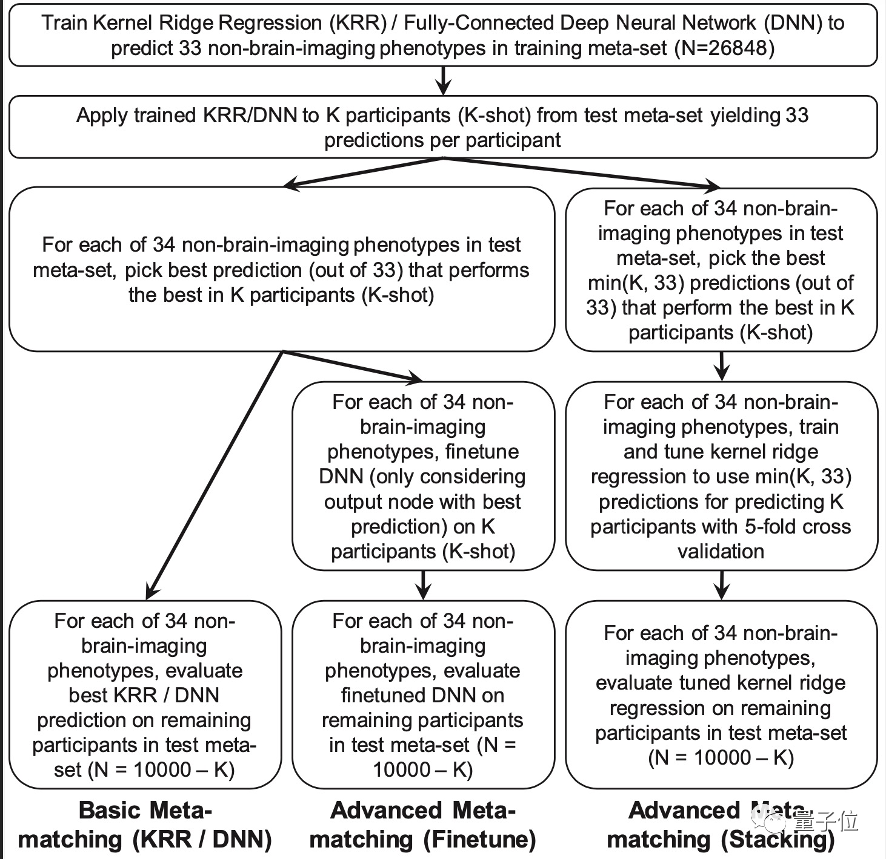 Nature子刊 | NUS、字节首次将AI元学习引入脑成像领域