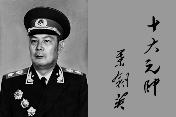十大元帅各有什么过人之处，如果作为公司他们能担任什么职务？