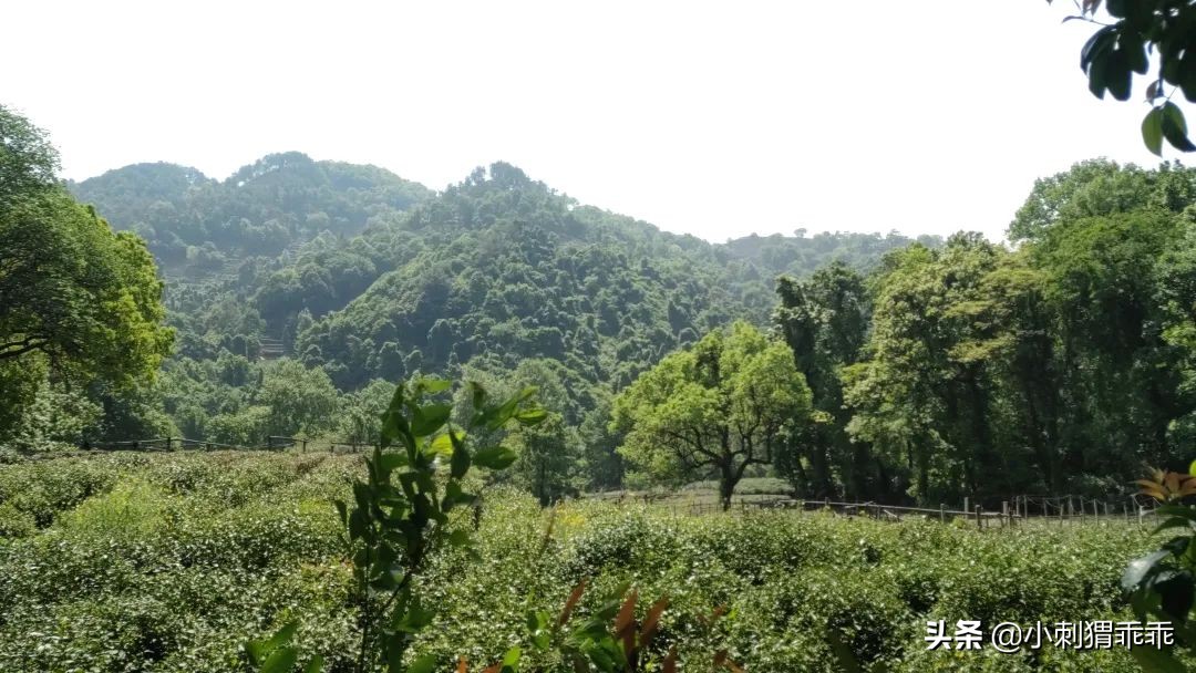 「我说我的」恨铁不成钢