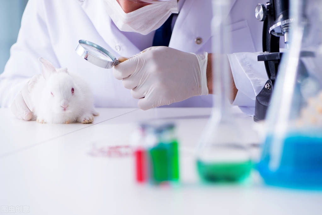 深圳亲子鉴定医院能做吗？需要去挂哪科？