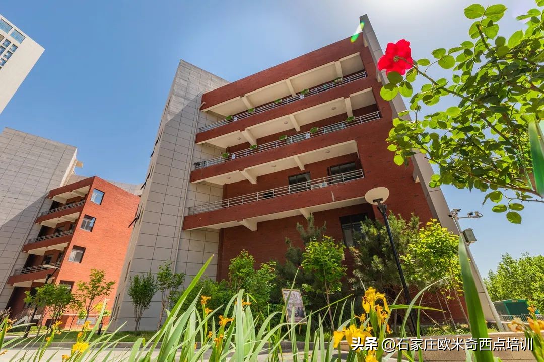 在河北有这样一所好西点烘焙学校，我一定要让你知道