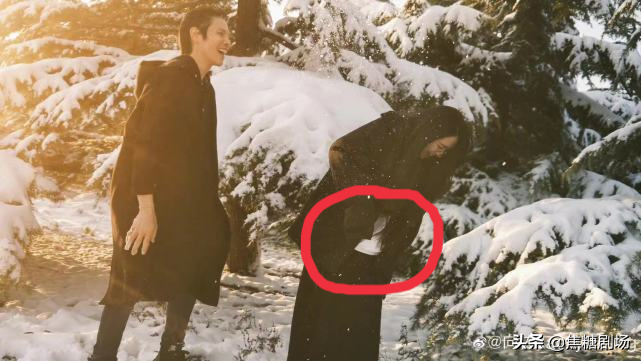 向佐晒一家三口照，轻抚妻子腹部满脸幸福，郭碧婷大肚抢镜