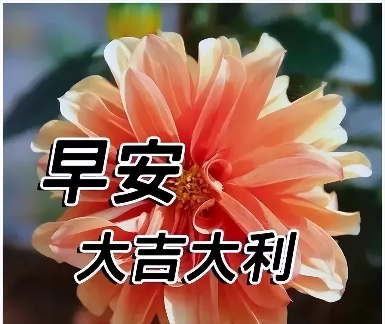 周六夏天超级漂亮的早上好祝福图片 你有多努力就有多幸运图片