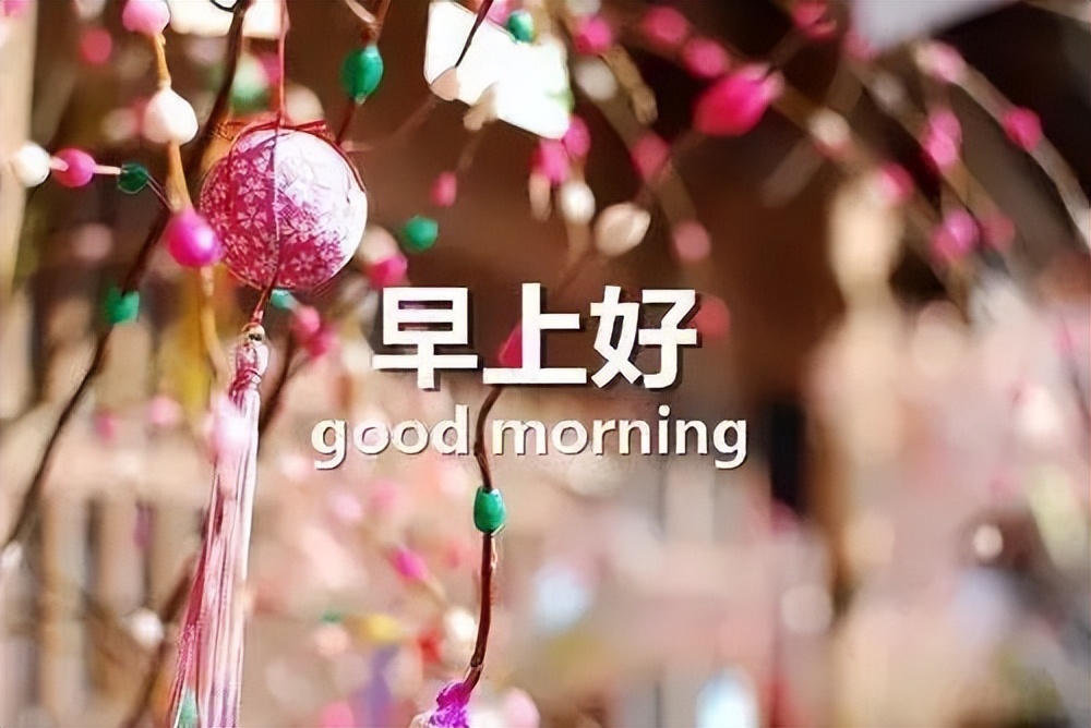 新的一周清早慰问大家早上好漂亮的表情图片，相识是缘，相知是情图片