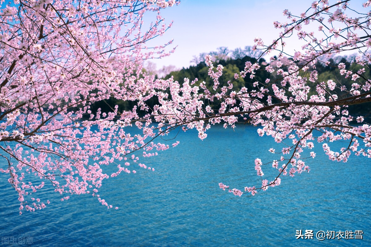 花朝节《春江花月夜》古诗五首：此夜江中月，流光花上春