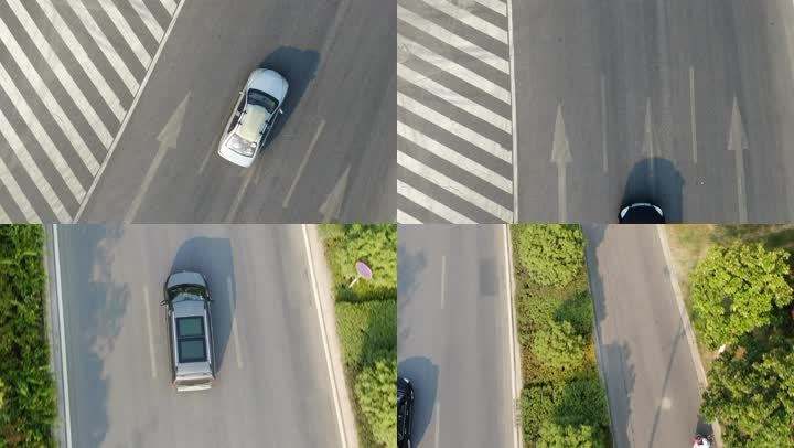 2017年三辆豪车去云南旅游，引起警方怀疑，全家12口多人判死刑