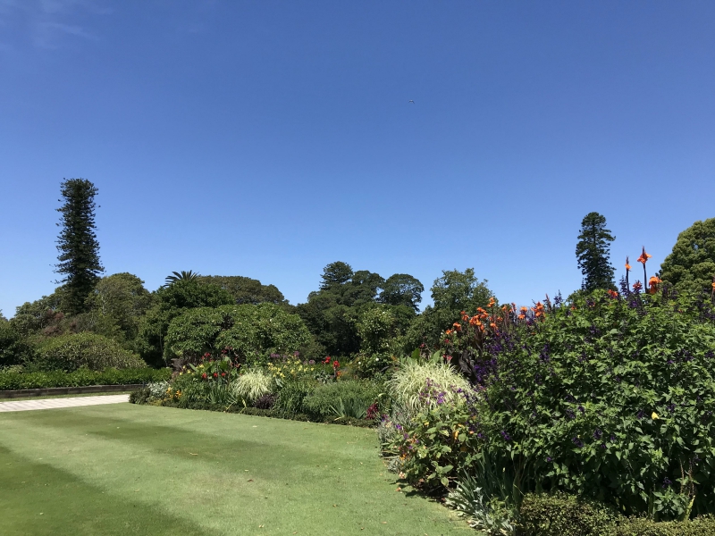 新加坡硕士留学专业有哪些