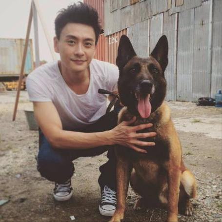 段奕宏的暗恋人尽皆知，黄宗泽的悔过来得太晚，这3对明星太可惜