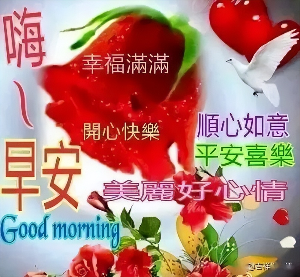 星期二微信漂亮的鲜花早上好问候问候语图片 珍惜所拥有的就是幸福图片