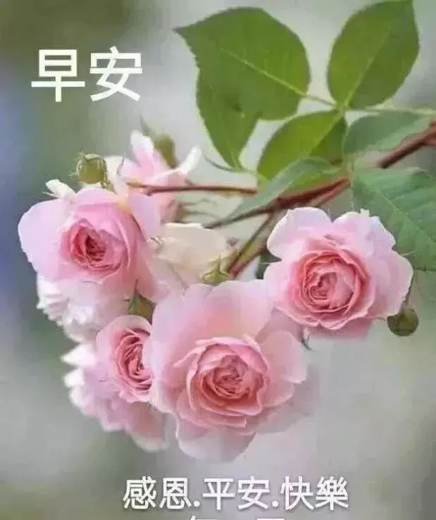 周二早上好温馨祝福句子送给大家 早安我的朋友，心好一切都好图片
