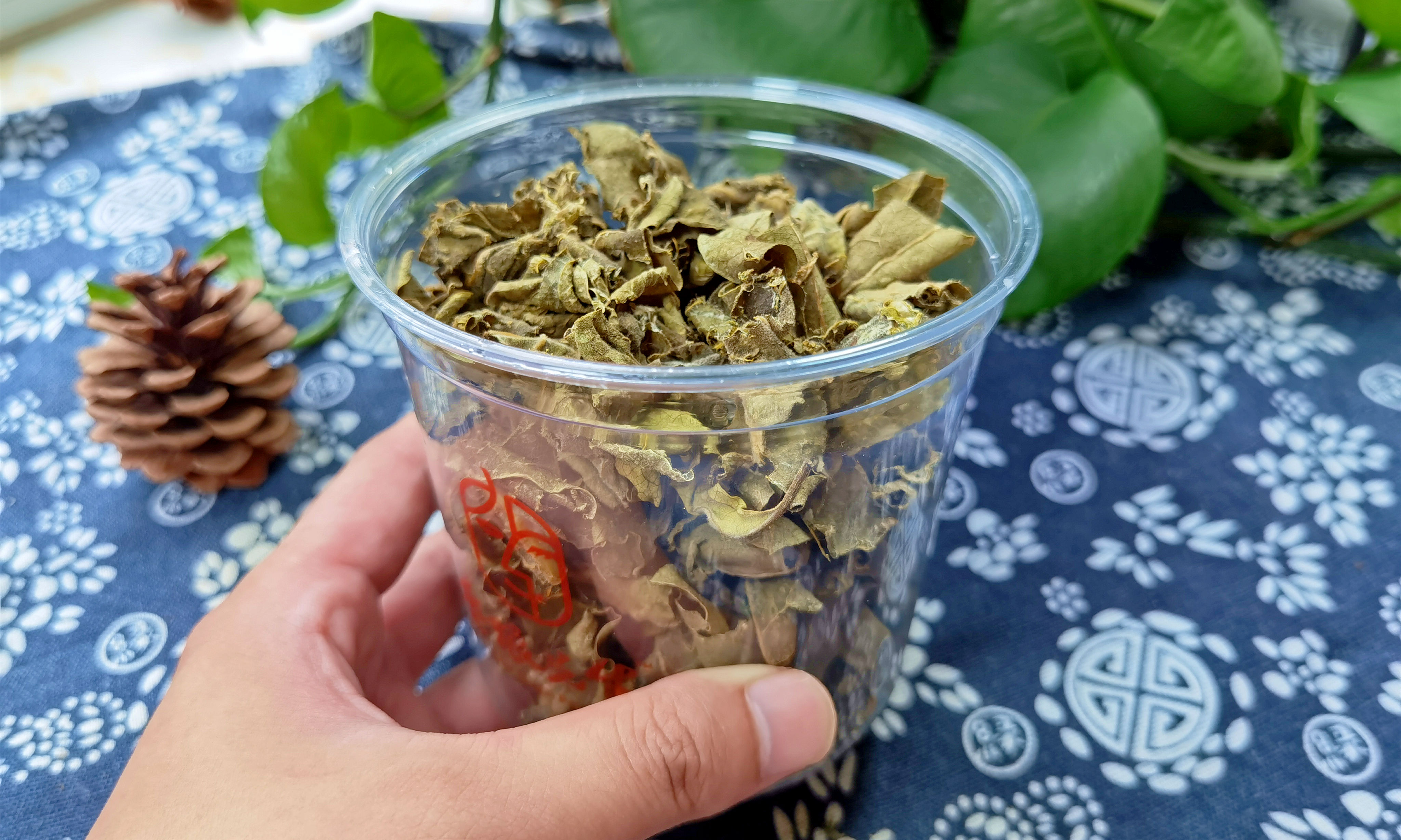 【柿子葉茶的沖泡方法】用這個方法炒制的柿子葉茶,香氣獨特,滋味醇厚