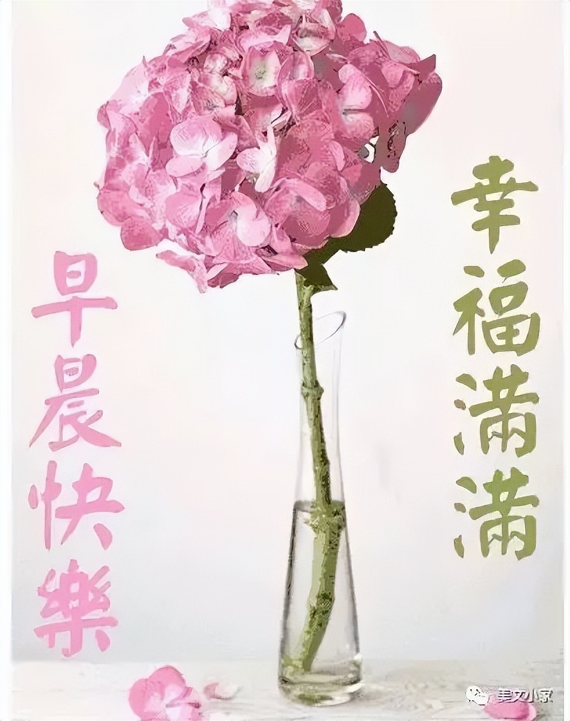 周五暖心早上好问候语简短说说 早上好，平安顺心、健康如意图片