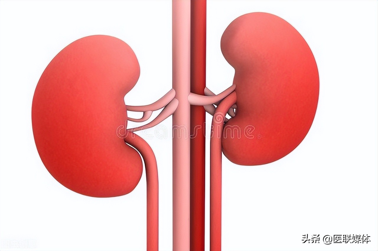 上完厕所不妨低头看一眼：尿液泡沫多，可能预示这3个问题