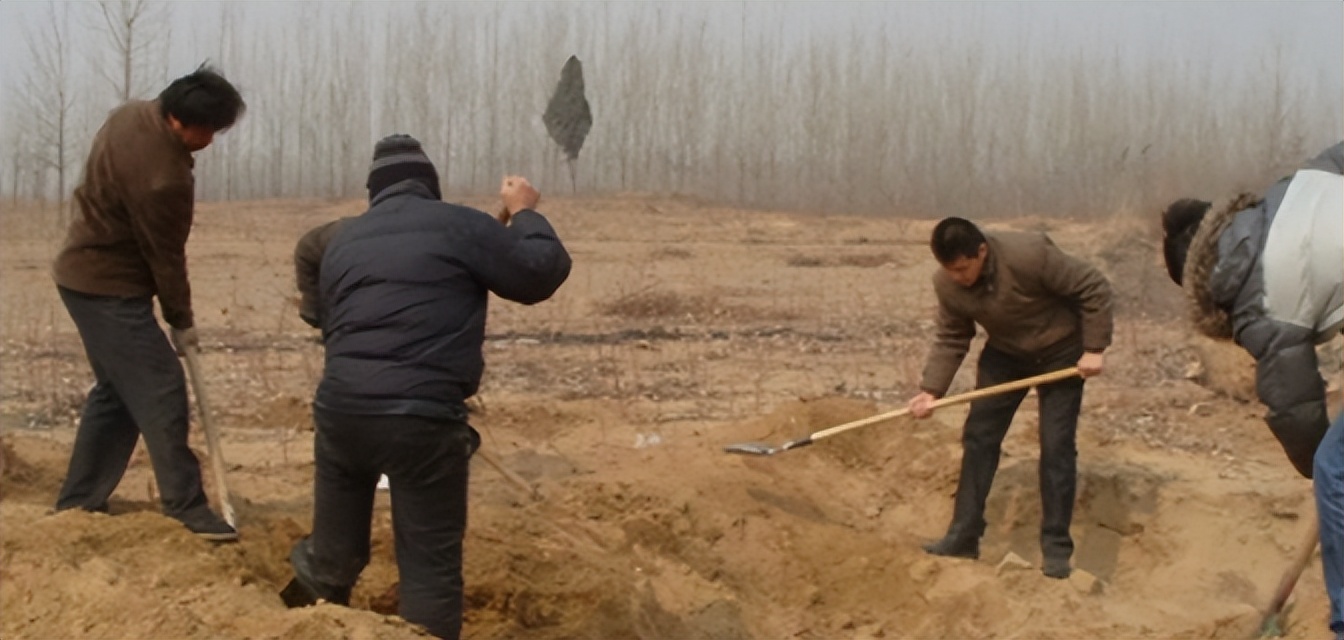 武大郎是哪天死的(1992年武大郎墓在河北被考古学家发掘，开棺后揭开人们多年的误解)