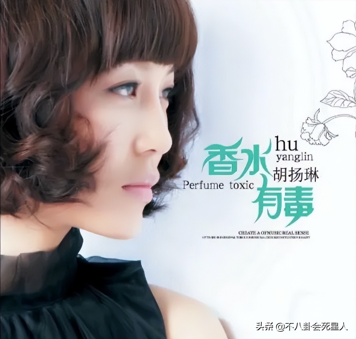 乐坛十大“恶俗歌曲”，刀郎两首代表作上榜，他冤不冤？