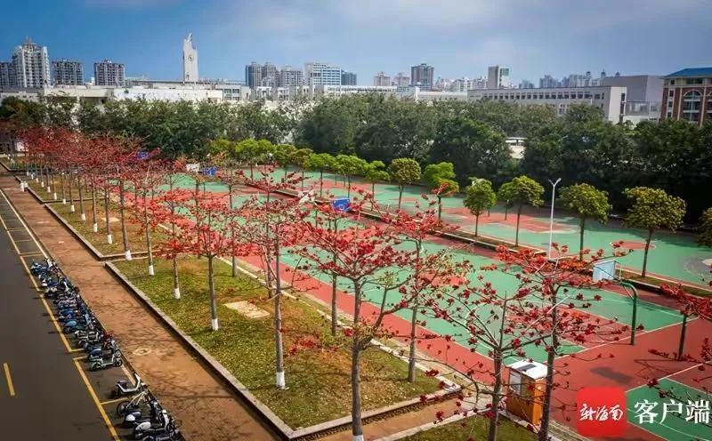 华夏大地定然是万紫千红——应和紫藤花开《一米之外的春天》