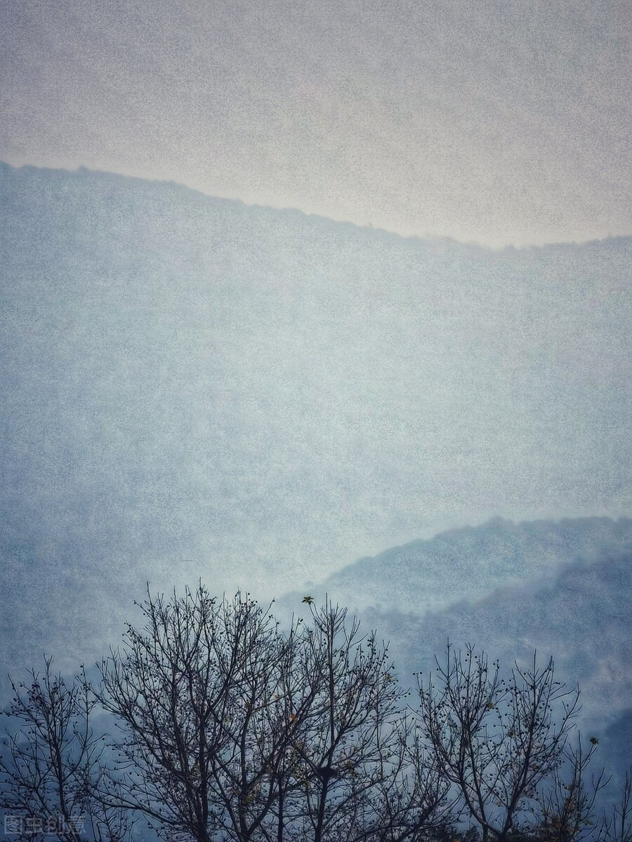 心香禅意佛系图片，唯美意境，净化心灵，静心禅语