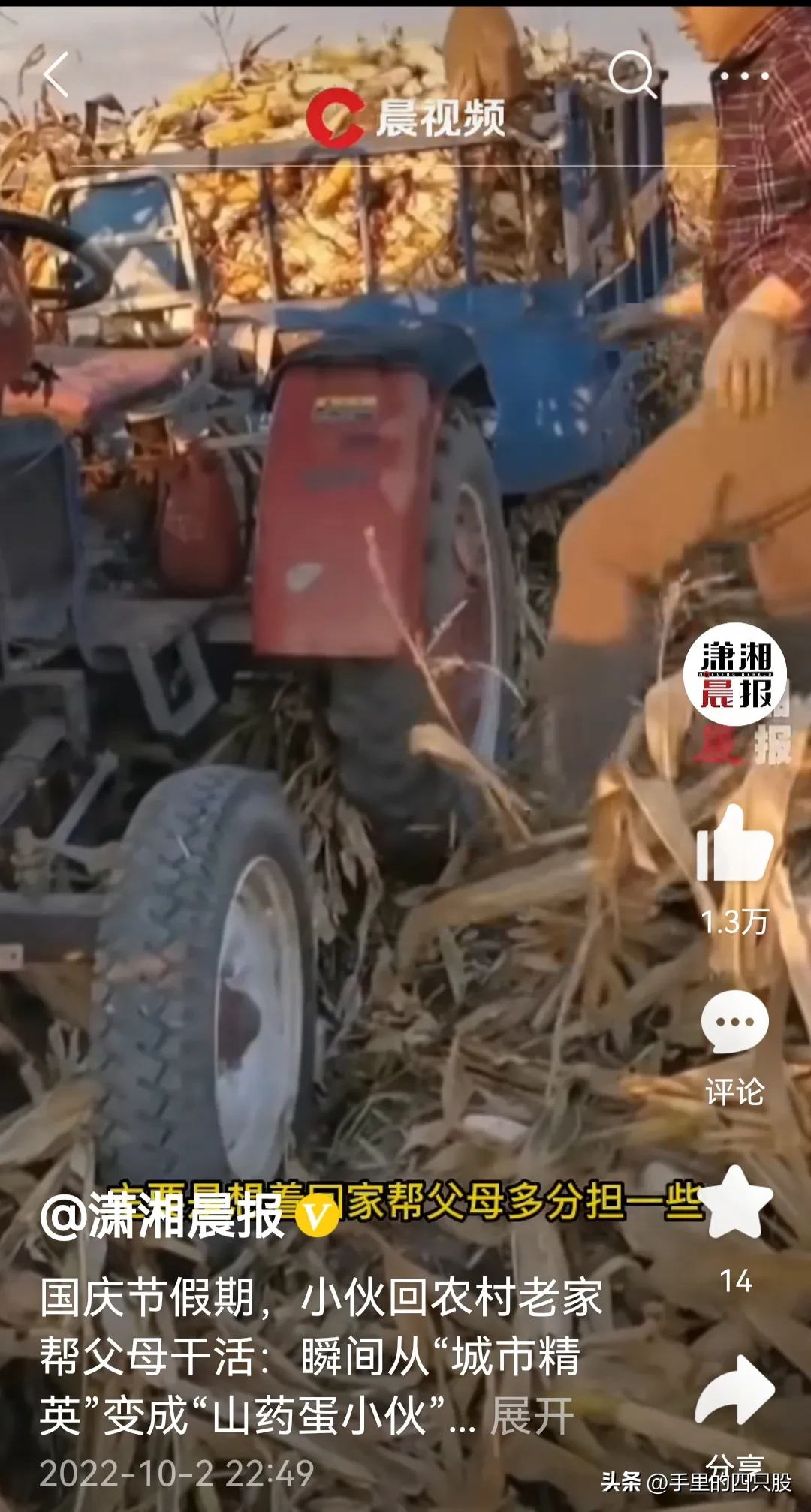 国庆放假，回农村老家，帮父母干活了吗？看到热榜新闻，从城市精英变山药蛋小伙