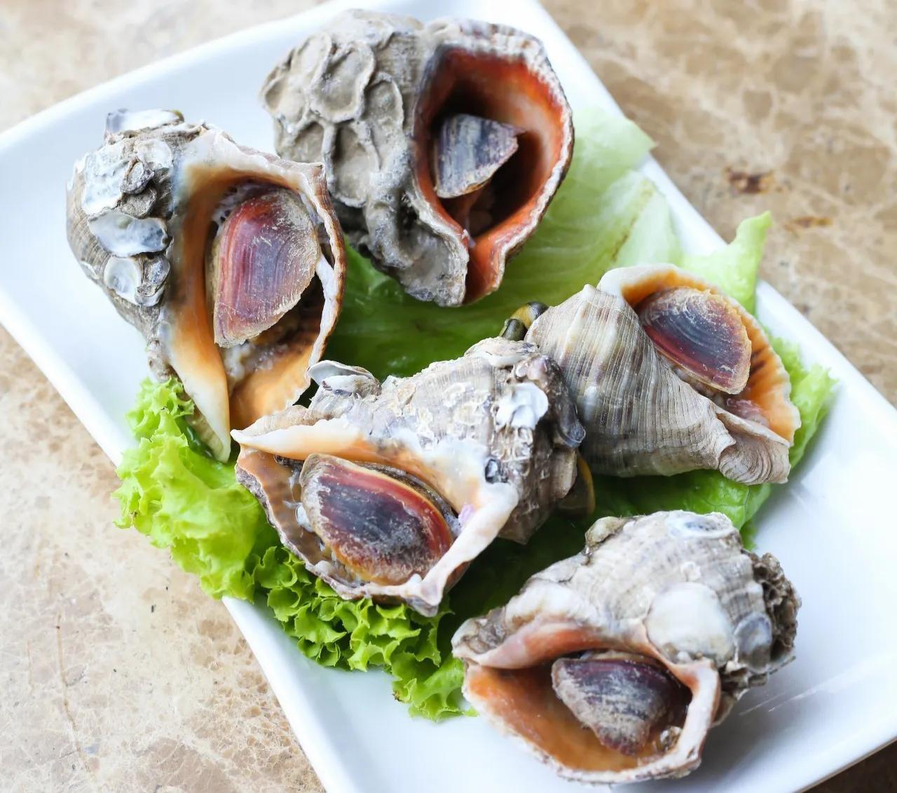 常见海鲜的名称和图片(盘点15种常吃的小海鲜) - 赤虎壹号