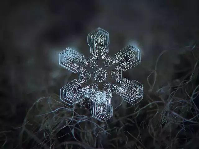 唯美雪花！