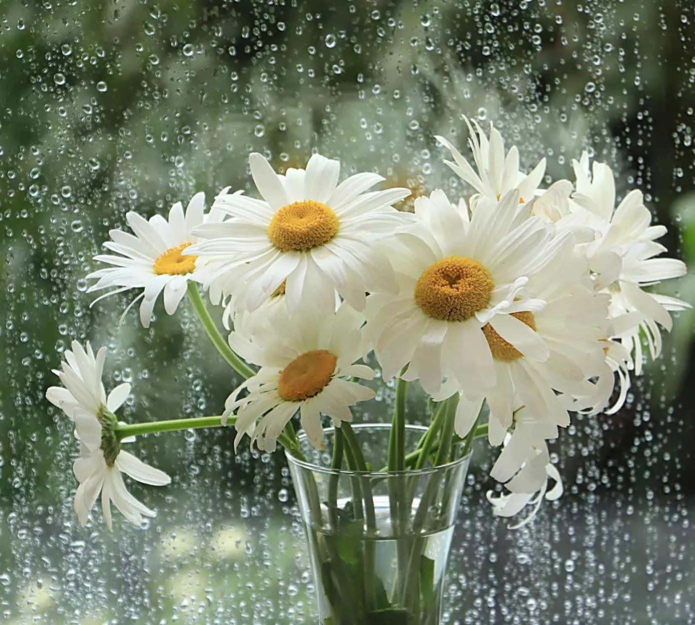 官集的危害首当其冲