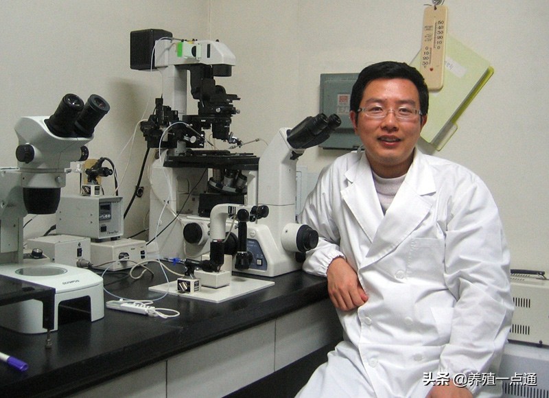 孙少琛，南京农业大学教授、博导，动物繁殖育种专家