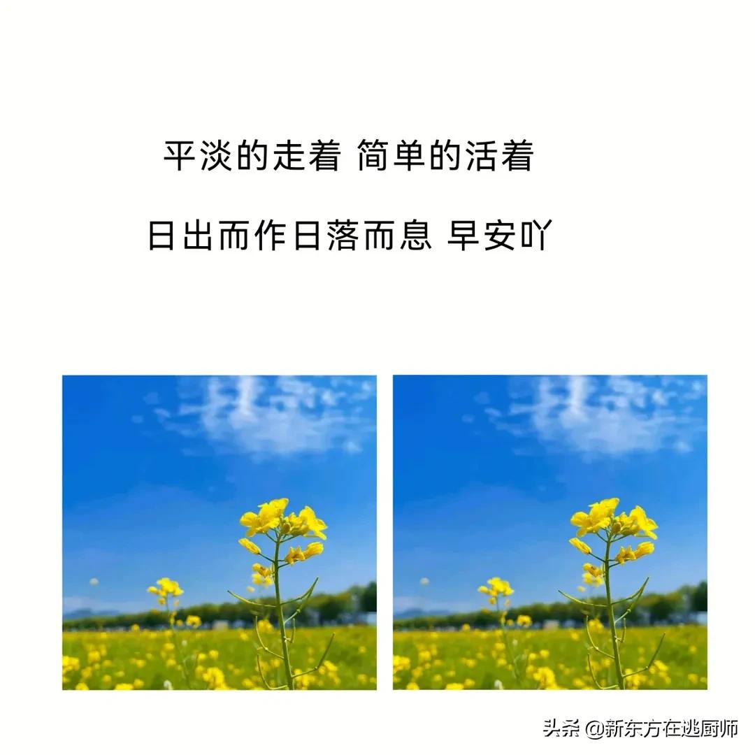 适合早晨发朋友圈的干净句子