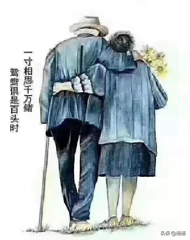 愿，有人知你冷暖，懂你悲欢！愿，有人待你如初，免你孤苦