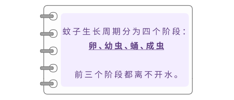 夏天一到蚊子多！这10个便宜又好用的驱蚊办法，总有一个用得上