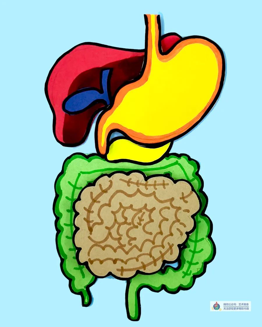 儿童画教程 | 综合创意画--我们的身体器官