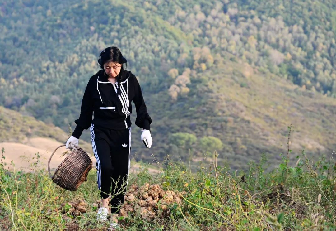线上展览|“劳动最光荣”主题摄影作品线上图片展（十五）