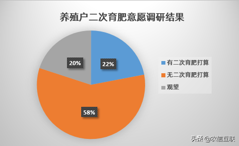 今日猪价行情｜行情低迷是二次育肥的机会？看看养猪户咋想的