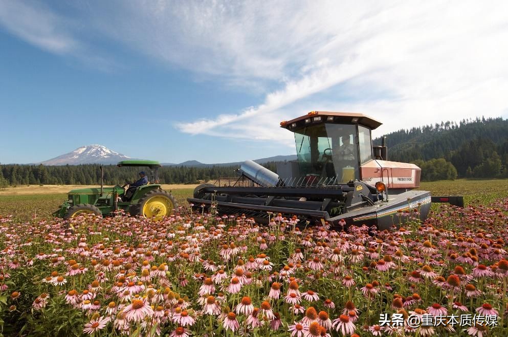 安利促进消费公平满足消费者个性化需求