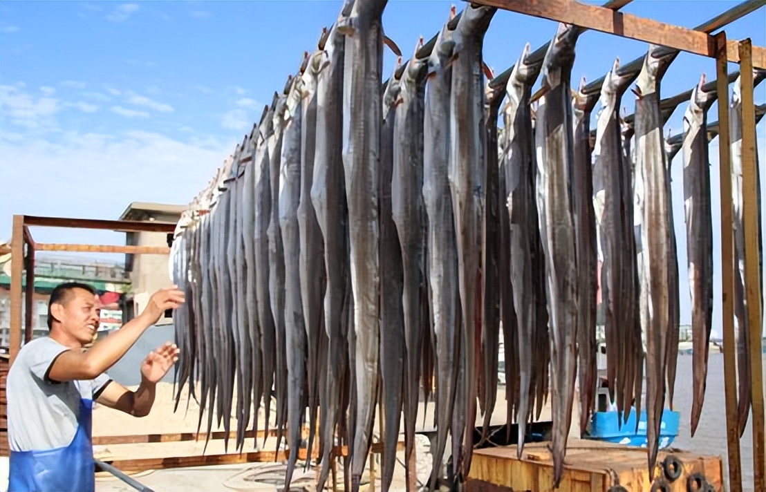 杭州39人在钱塘江捕鳗鱼苗,一尾卖50元,为何有人爱吃鱼苗