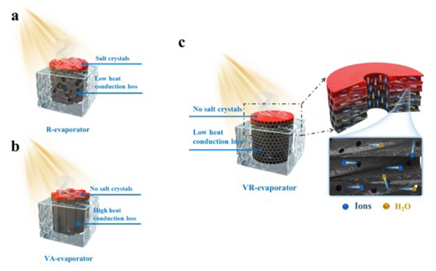 3D 水凝胶蒸发器打破高盐度太阳能淡化的热定位和耐盐性之间的权衡