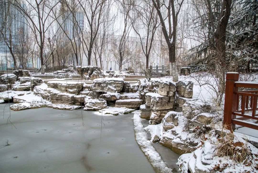 开年瑞雪，师大校园寂静如诗