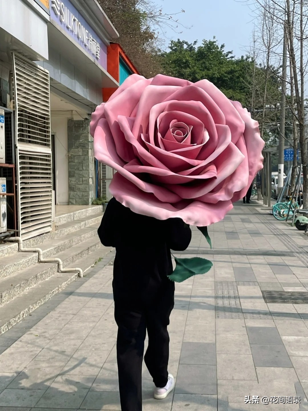 玫瑰花卡片浪漫短句(成都小伙送女友“巨型玫瑰花”告白，浪漫又搞笑，网友：这爱够沉)