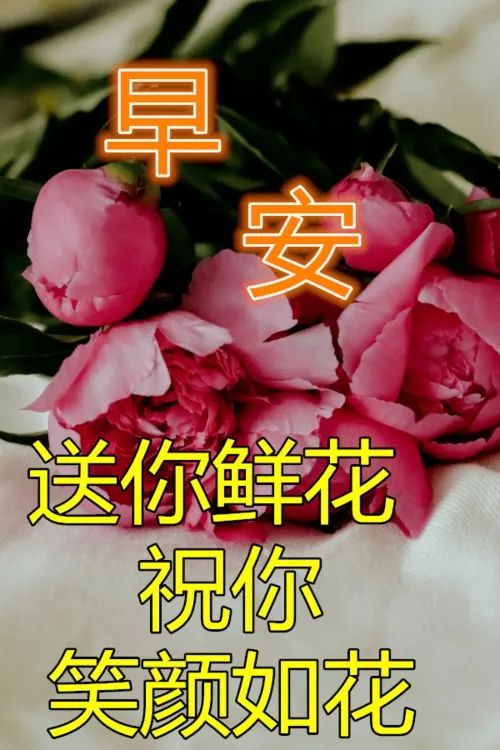 五月最新创意的早上好祝福亲友带字带祝福语图集 微笑迎接美好图片