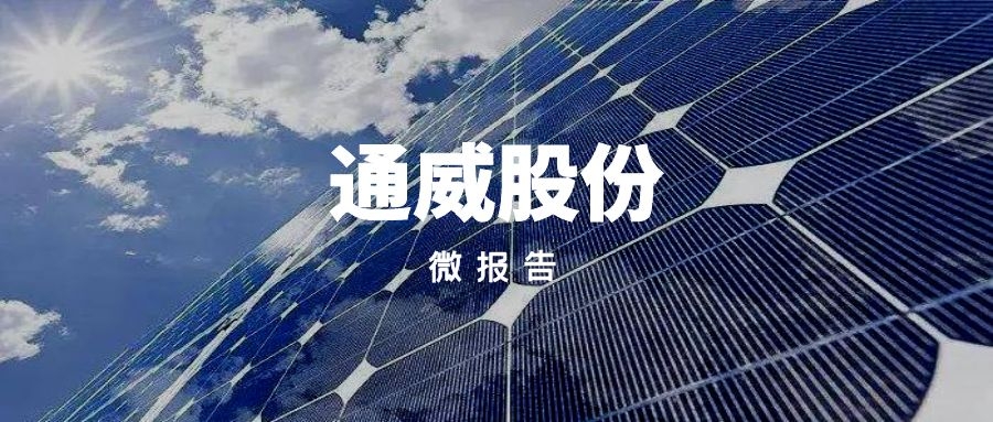 睿蓝微报告｜通威股份“永祥二期”和“保山一期”，触动业绩爆涨