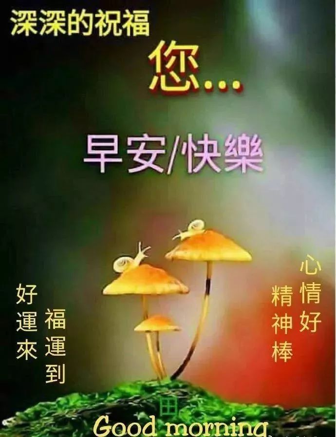 朋友圈秋天早上好问候语句子 多些生活的韵律，谱就美好的心曲图片